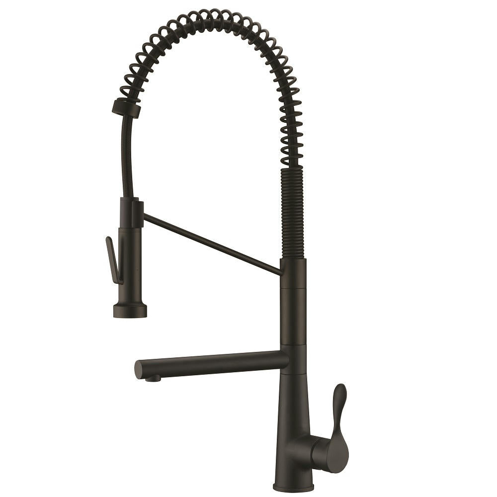 Dawn 2 Way Spring Pull-Out Kitchen Faucet In Matte Black Model# AB50 3787MB