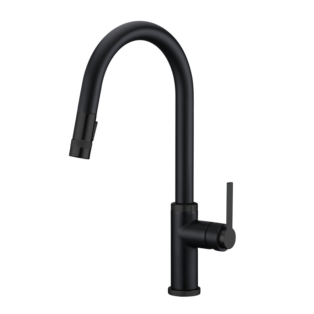 Dawn Single-Lever with Two Functions Pull-out Spray Kitchen Faucet In Matte Black Model# AB50 3658MB