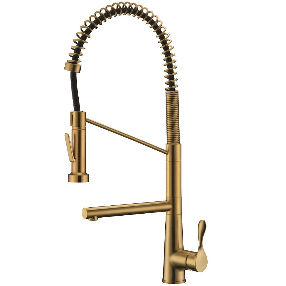 Dawn 2 Way Spring Pull-Out Kitchen Faucet, Matte Gold  Model: AB50 3787MAG